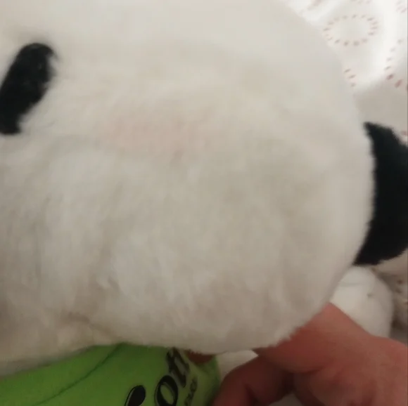 Snoopy - Picture 3 of 3